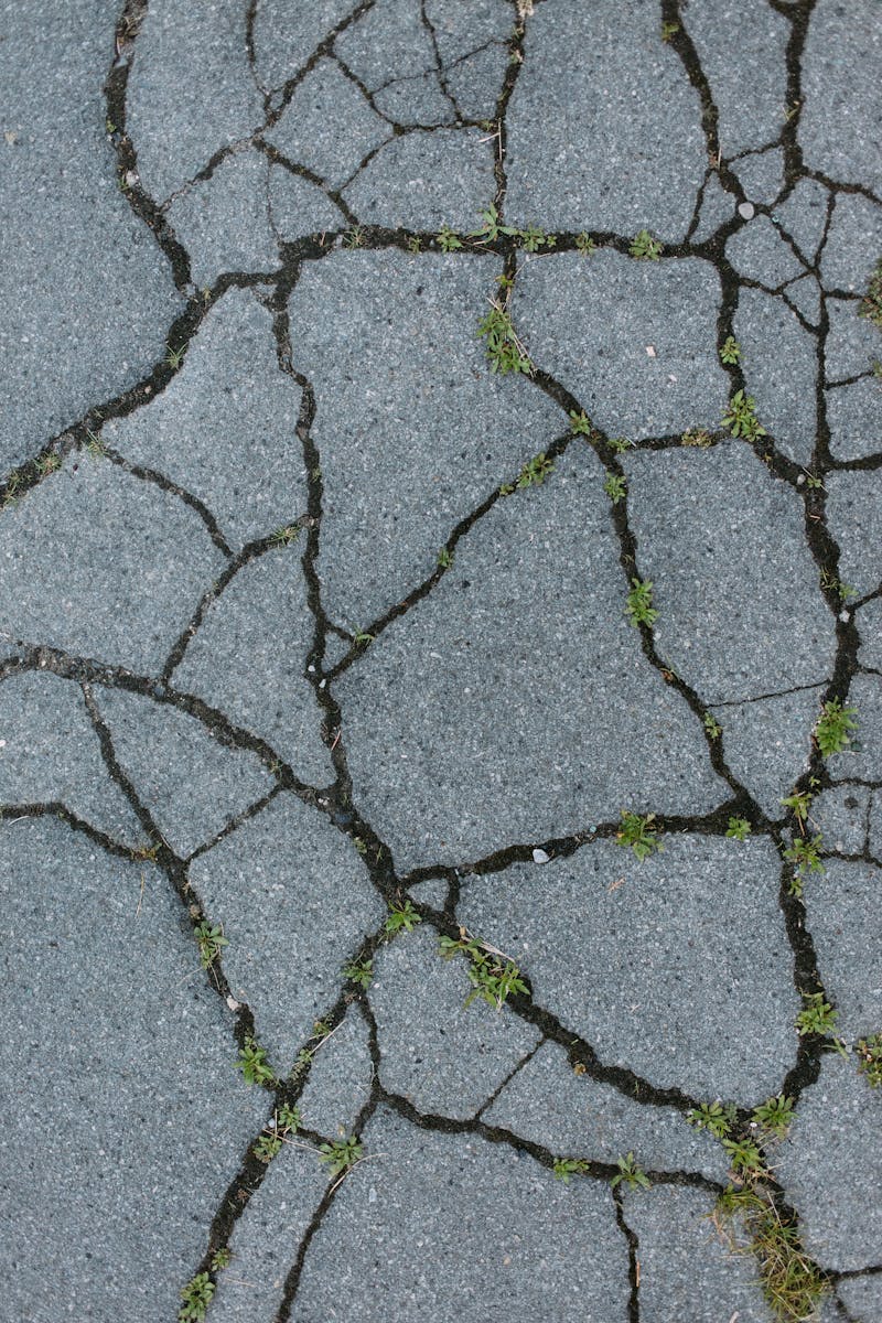 Close-up of cracked urban pavement with weeds in Detroit, showcasing urban decay and resilience.